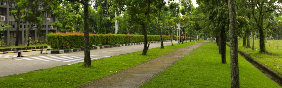 Universitas Andalas dipenuhi dengan pepohonan yang rindang dan hijau